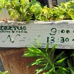 キッチン＆コーヒーCACTUS - 