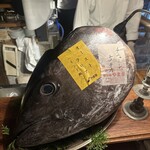 チニャーレエノテカ - 