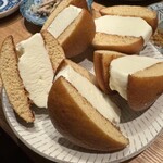 サガノサカバ - 