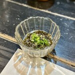 時しらず 梅咲 - 