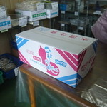 かねすえ - 10個入り