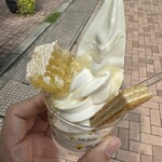 Sugi Yohoen Karuizawa Ten - 巣房蜜がドンと乗った贅沢仕様。蜂蜜の甘さがソフトにじんわり染みていく、夏のご褒美アイス。