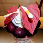 夜パフェ専門店ななかま堂 - 