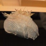 日本橋　川口 - 