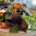 IL PLANETARIO - 【おまかせ前菜の盛り合わせ】