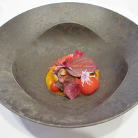 MAISON LAFITE - 鱚(福岡姪浜)のフリット、ベルモットと蓬のソース、春菊や蒲公英の新芽