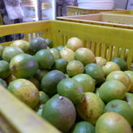 台南昌水果批發行 - 次々、農家から運ばれてくる。