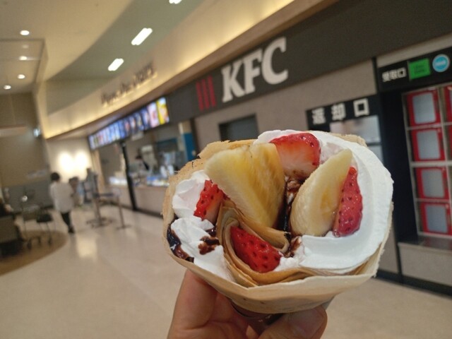 DipperDan Ion Ujina Ten photo 3