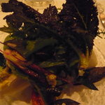 ラ・リューン - 前菜1皿目：冷温取り合わせ有機野菜のサラダ「ビオファーム松木」より