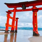 焼がきの はやし - 