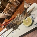 薄野 肉海鮮炉端 芯々 - 