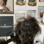 TACOS 3Hermanos Yamanakako - 