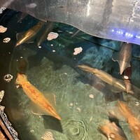 寅八商店 心斎橋店 - 