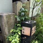 土桜 - 外観