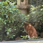 しのカフェ - お庭にお散歩、あめちゃん