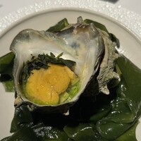 レフェルヴェソンス - 