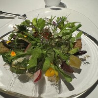 レフェルヴェソンス - 