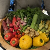 レフェルヴェソンス - 