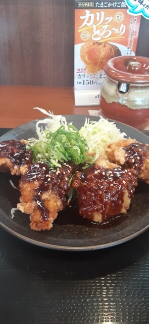 Karayama Aichi Komaki Ten photo 2