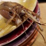 回転寿し トリトン - シャコくん。