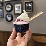 젤라테리아 지나 - 