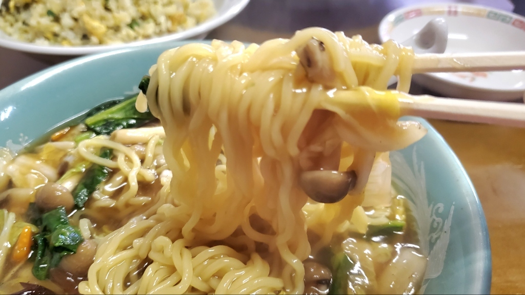 ヘイホーページA5 花華 228:Echeveria 'Vega'(エケベリア ベガ)6㎝ポット[多肉植物]