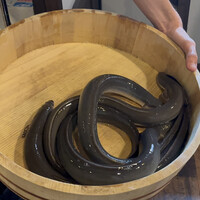 炭焼鰻 寝床 福島店 - 
