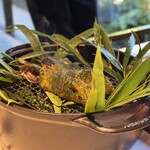 レフェルヴェソンス - 