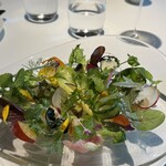 レフェルヴェソンス - 