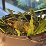 レフェルヴェソンス - 