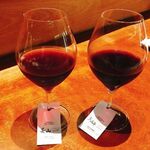 焼き鳥 野乃鳥 幻鳥 - 