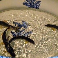 御料理ふじ居 - 