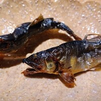 御料理ふじ居 - 