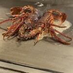 銀座 和牛鉄板焼 USHIGAMI - 