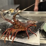 銀座 和牛鉄板焼 USHIGAMI - 