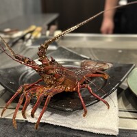銀座 和牛鉄板焼 USHIGAMI - 