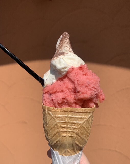 Gelateria La Tazzina （ジェラテリア ラ タッツィーナ） - 星置