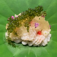 小熊 - 