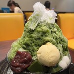 おしゃべりな亀 - 