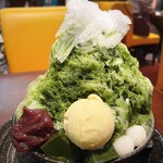 おしゃべりな亀 - 