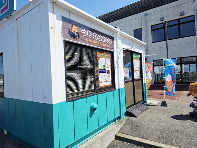 うにねこカフェ - 磯鶏（カフェ）の写真