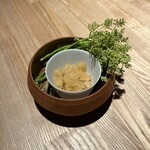 レスピラシオン - 