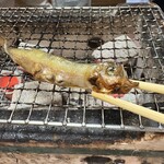自遊庵 ねぎぼうず - 焼きたては堪りません