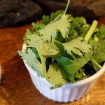 カレーの店 マボロシ - 