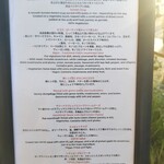 ポーランド・ティスト - 