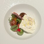 310718188 - カプレーゼ