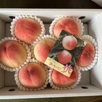 めっけもん広場 - 