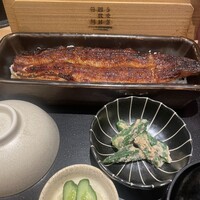 うなぎ四代目菊川 東京駅黒塀横丁店 - 