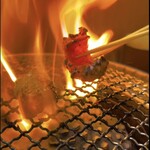 ホルモンなごみ - 