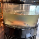 函館 開陽亭 どさんこ家 - 